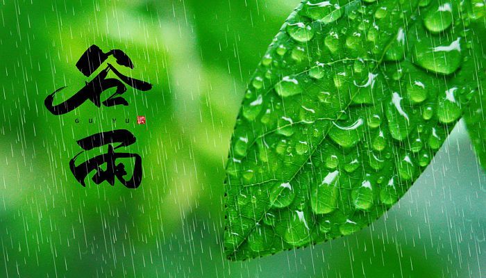 二十四節氣之谷雨(yǔ)