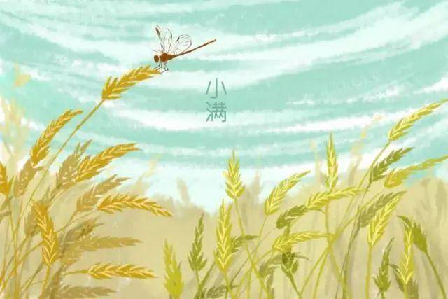 二十四節氣之小滿